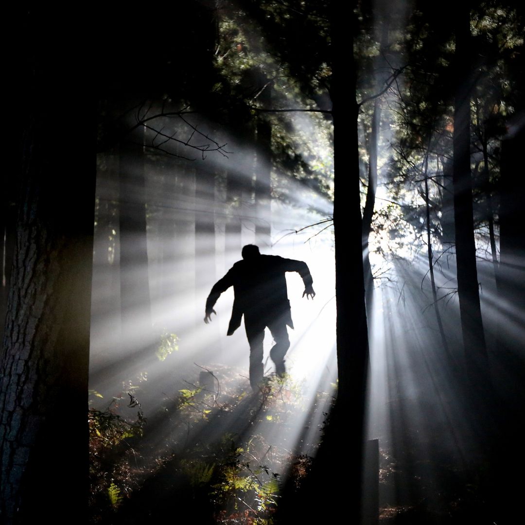 Speaking of monsters.