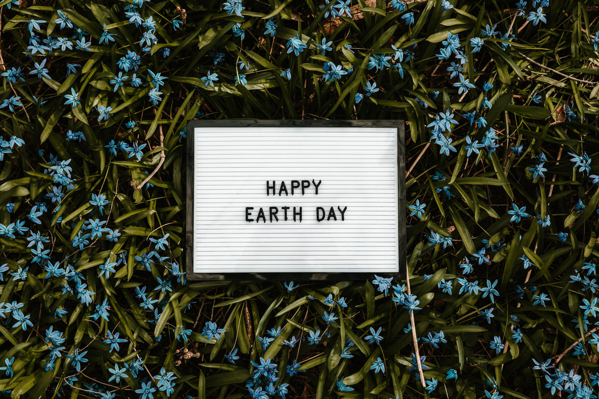 Earth Day and Feminism