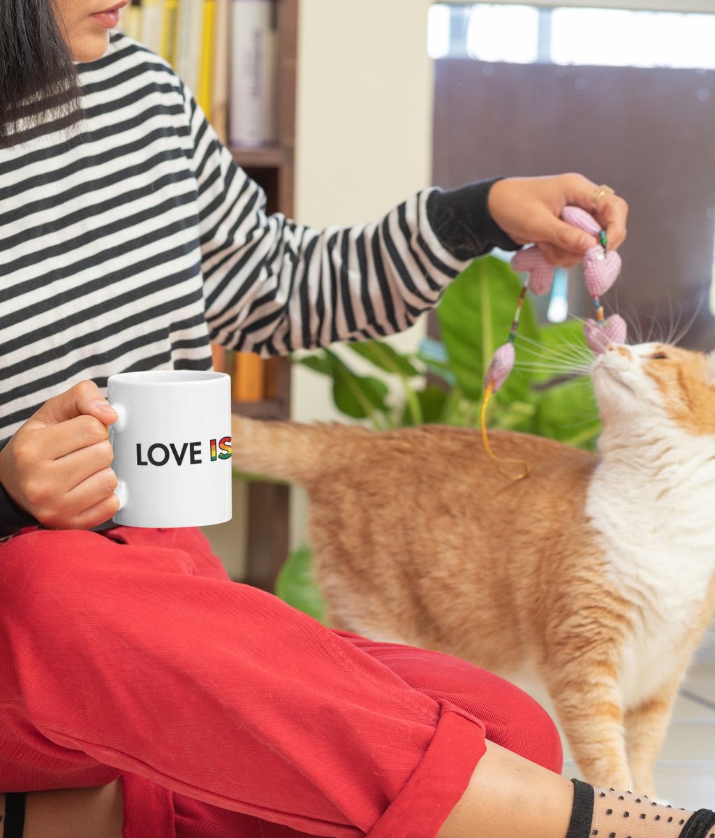 Pride LGBTQIA+ Love is Love Ceramic Mug