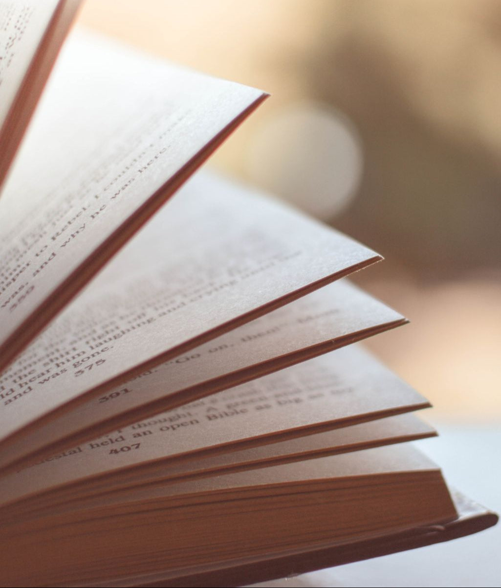 Books Bundle - All  Virginia's books + extra gifts!