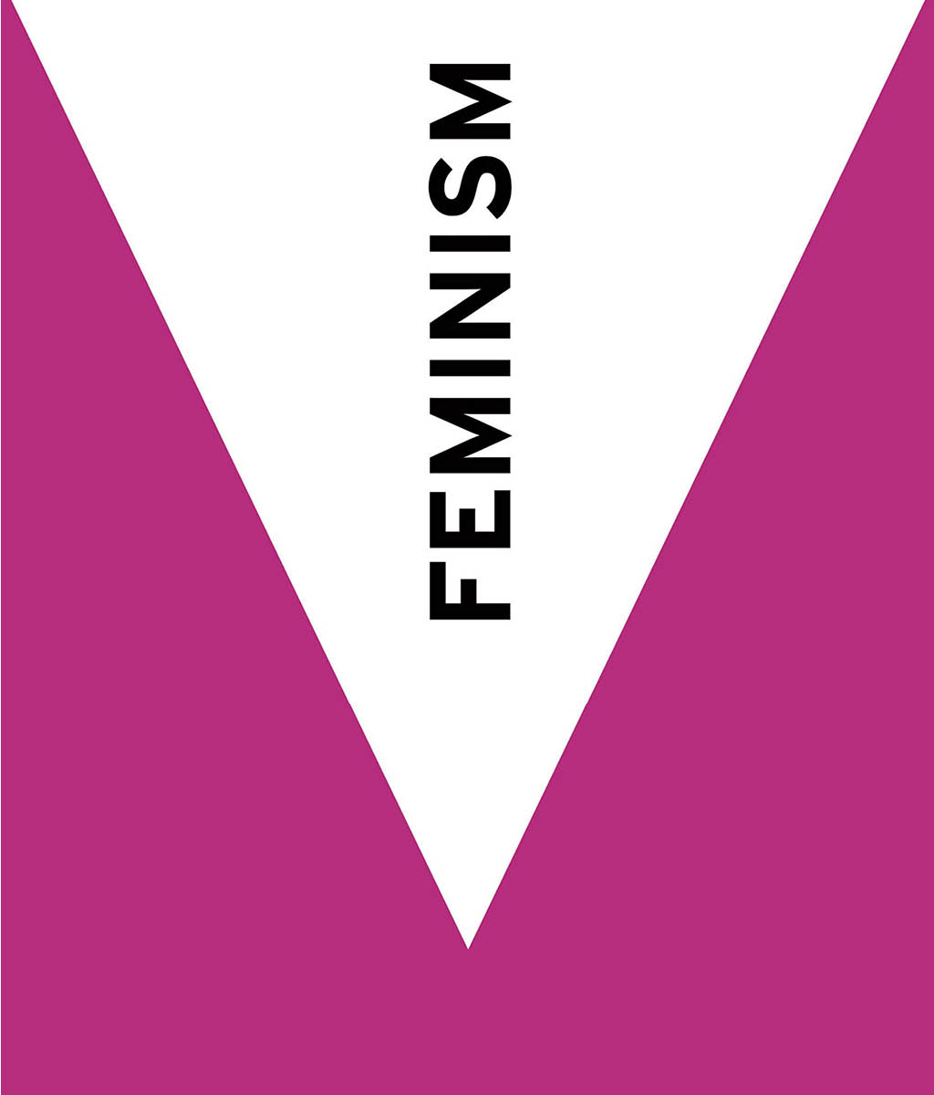 Feminism : Ideas in Profile by Deborah Cameron